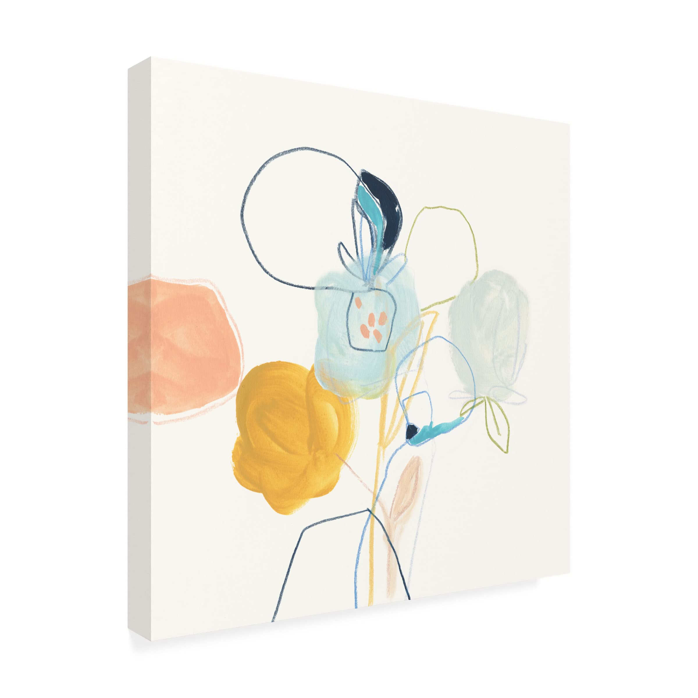 Trademark Fine Art 'Contour Garden IV' Canvas Wall Art by June Erica Vess - 35x35 Inches Modern Home Decor for Living Room, Bedroom & Office