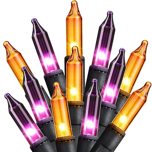Orange & Purple