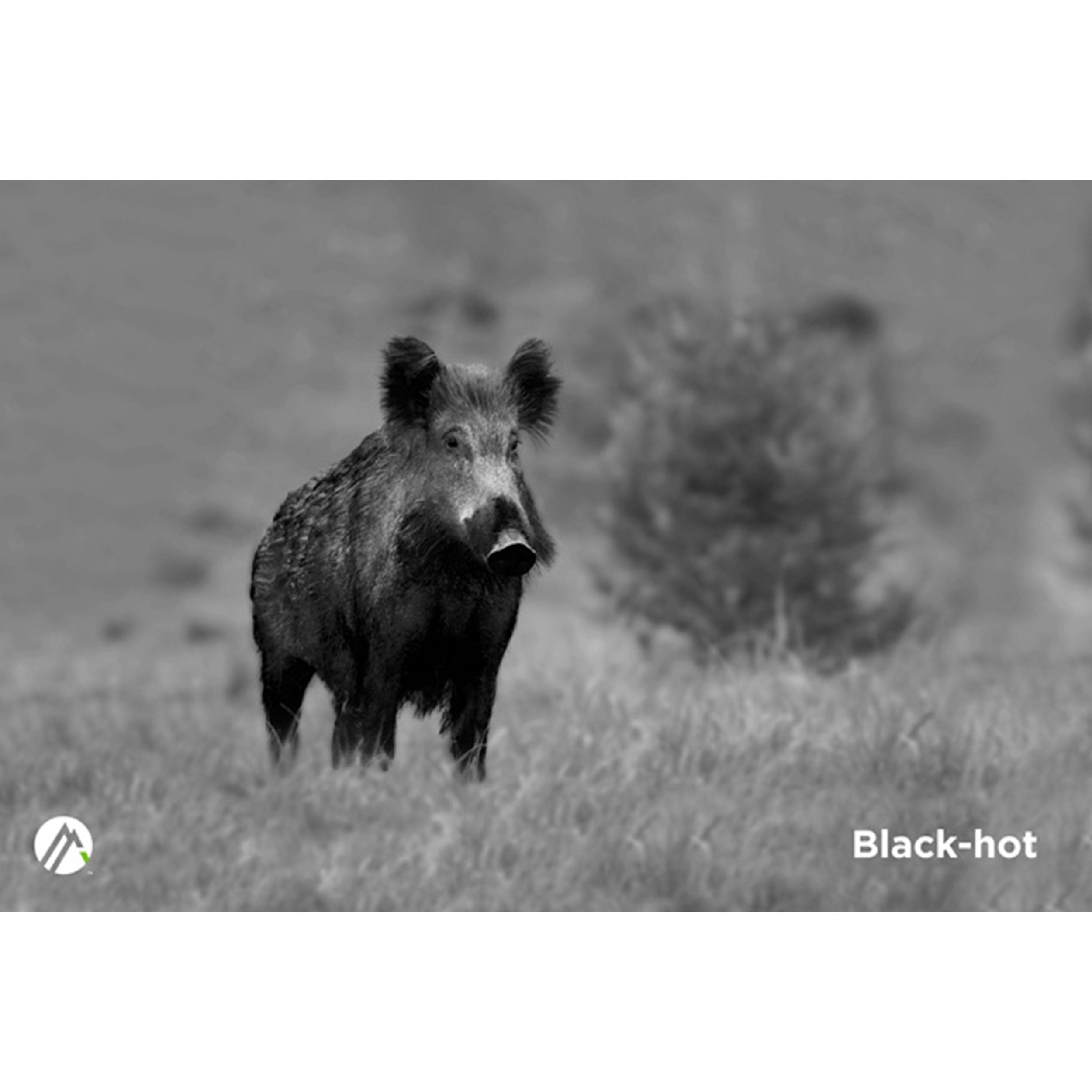 Alpen Apex 35mm Thermal Monocular - High Performance Night Vision Scope for Hunting, Wildlife Observation & Security Surveillance