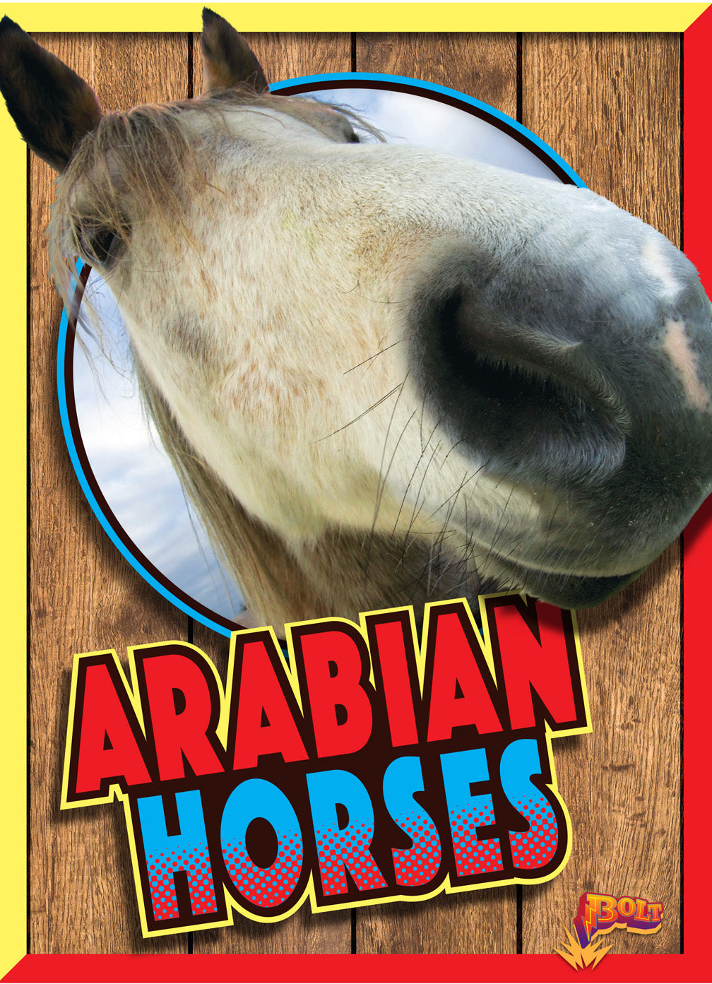 Arabian Horses Book - 9781680724141 | History, Breeds & Care Guide for Equestrian Enthusiasts | Perfect for Horse Lovers & Riding Hobbyists