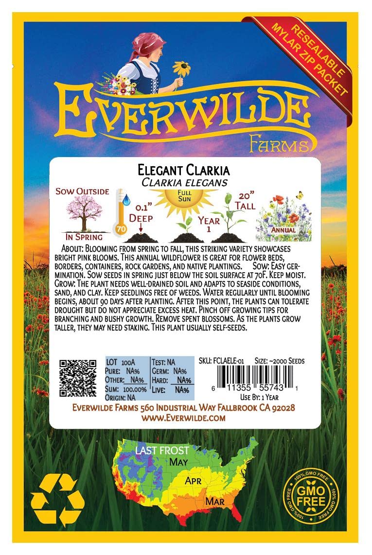 Everwilde Farms - 2000 Elegant Clarkia Native Wildflower Seeds - Gold Vault Jumbo Seed Packet for Garden Landscaping & Pollinator Gardens