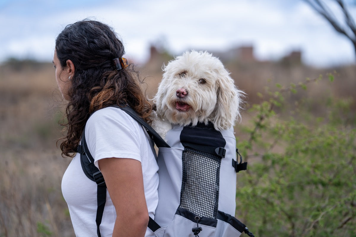 Ultra Lightweight Black Dog Backpack - 4 Sizes for Hiking, Travel & Outdoor Adventures with Your Pet | Sierra Dog Pack