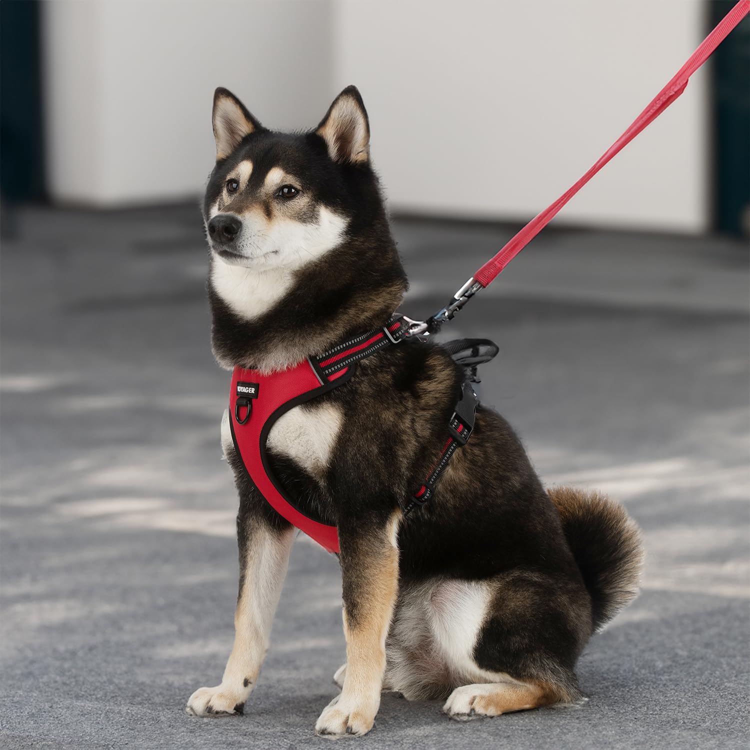 Voyager No-Pull Dog Harness with Dual Leash Attachment - Adjustable Soft & Strong Pet Harness for Medium & Large Dogs - 3M Reflective Technology - Harness & Leash Set (Red Lattice, XS) - Perfect for Walking, Running & Outdoor Adventures