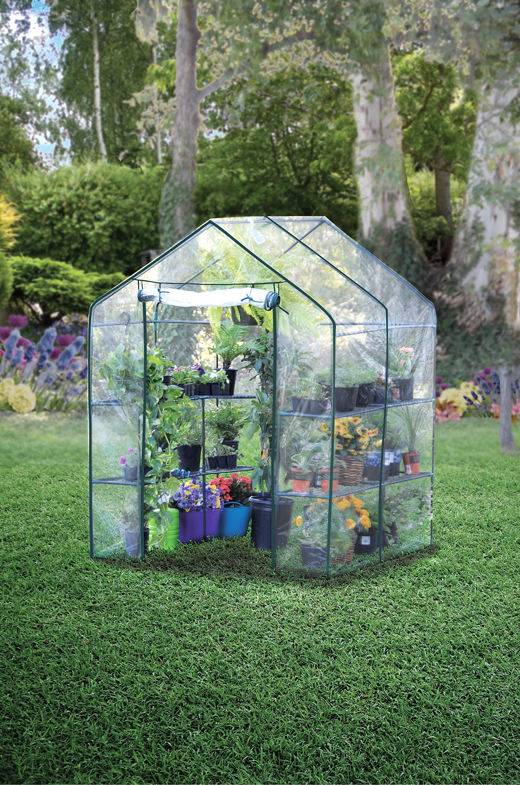 Bloom 63537 Large Walk-in Greenhouse - 6.5' x 6.5' x 6.7' Outdoor Plant Protection Tent with Durable PE Cover & Steel Frame - Perfect for Gardening, Seed Starting, Plant Growing in Backyard, Patio or Balcony