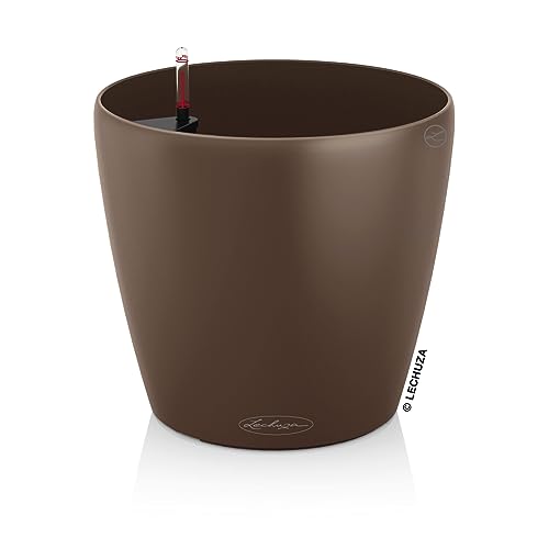 Nutmeg Matte