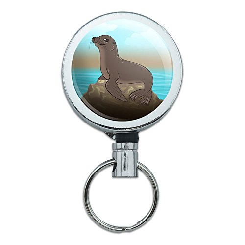 Sea Lion on Rock Seal