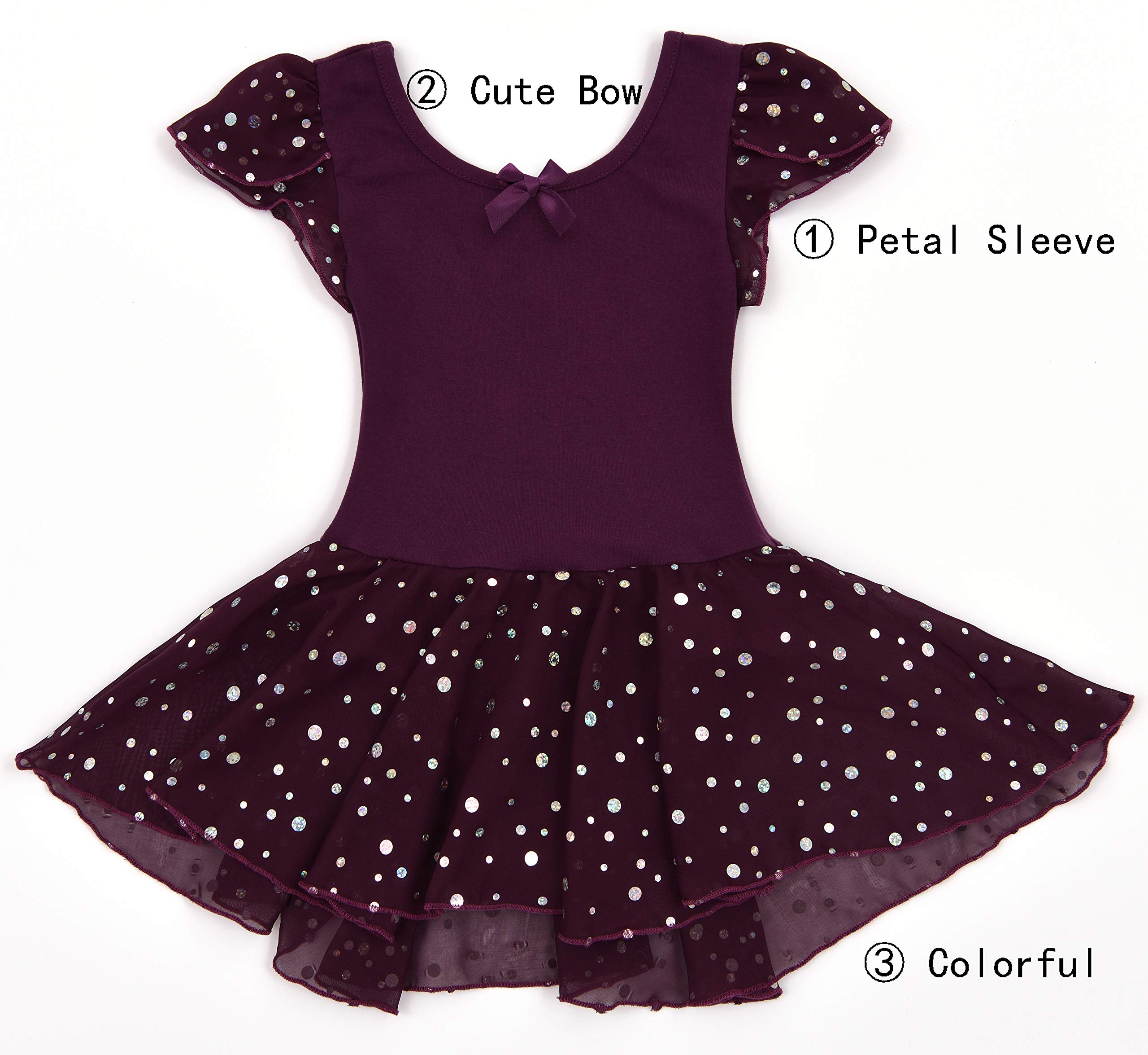 DANSHOW Girls Ballet Leotard with Glitter, Tutu Skirt & Petal Sleeves - Sparkly Dance Costume for Recitals, Performances & Ballet Practice