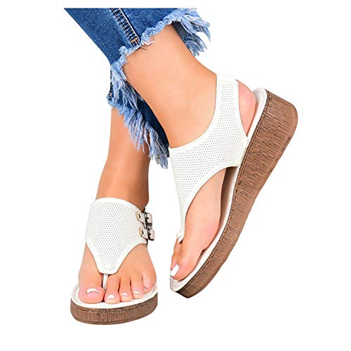 Z61-white