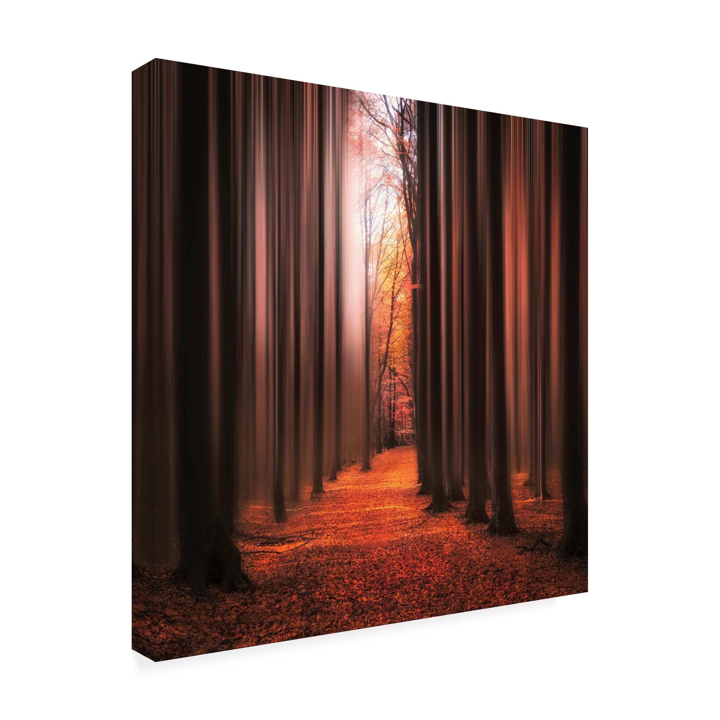 Trademark Fine Art 'Don't Wake Me Up' Canvas Wall Art by Christian Lindsten - Modern Home Decor for Living Room & Bedroom