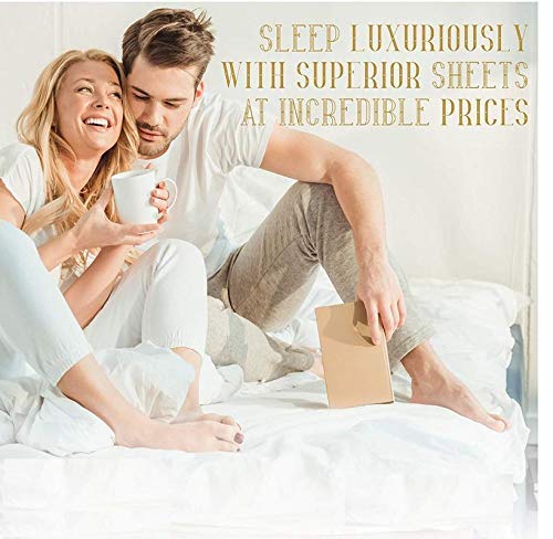 Luxurious 1800-TC Egyptian Cotton Queen Size Sheet Set - 6 Piece (1 Fitted Sheet, 1 Flat Sheet, 4 Pillowcases) for 15-18 Inch Deep Pocket Mattress - Solid Light Blue - Perfect for Master Bedroom, Guest Room & Hotel Luxury Bedding