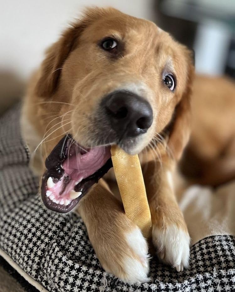 Treaby Himalayan Yak Chews for Dogs & Puppies - Natural Yak Milk Dental Sticks for Teeth Cleaning & Bone Health - Long Lasting Dog Treats for Aggressive Chewers - Perfect for Training, Teething & Dental Care