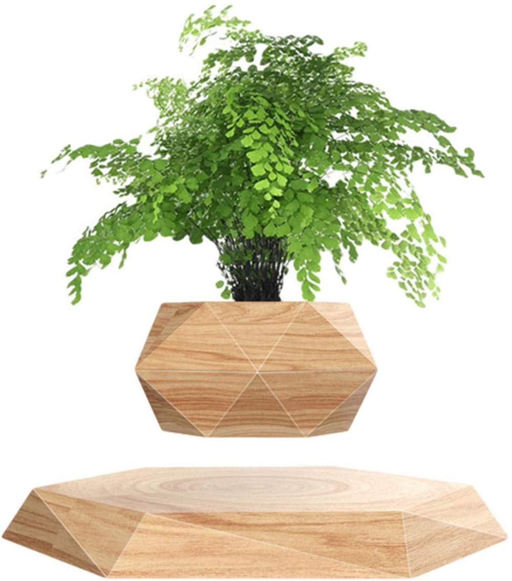 Magnetic Levitation Floating Air Plant Pot - Wood Grain Hanging Bonsai for Office Desk, Home Decor & Reception Areas | Creative Indoor Gardening Gift Idea