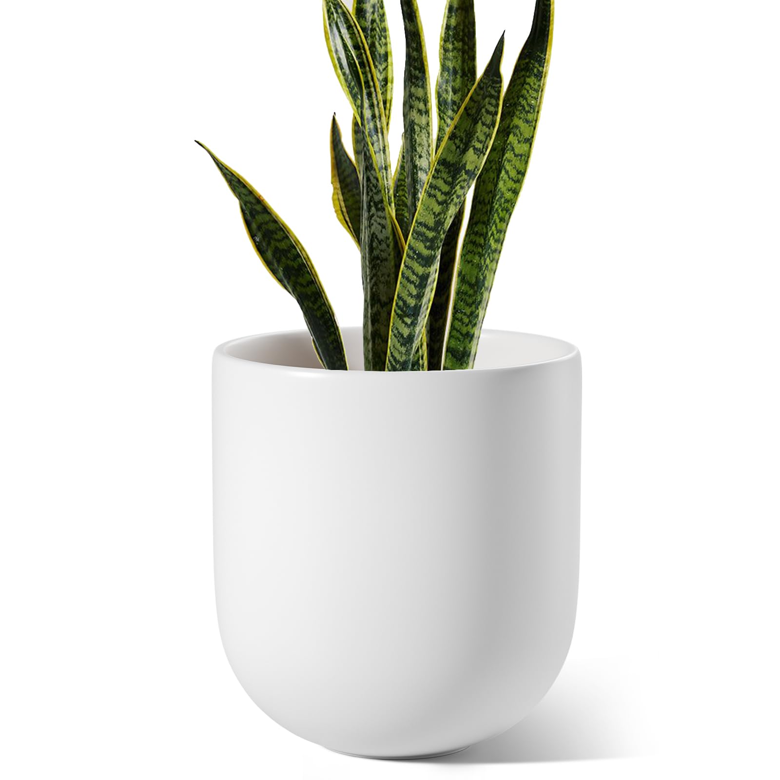 LE TAUCI 10 Inch White Ceramic Plant Pot with Drainage Hole & Rubber Plug - Indoor/Outdoor Cylinder Planter for Olive Trees, Succulents, Herbs - Perfect for Home, Patio, Office Decor & Gardening Gifts