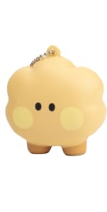 Shooky Minini