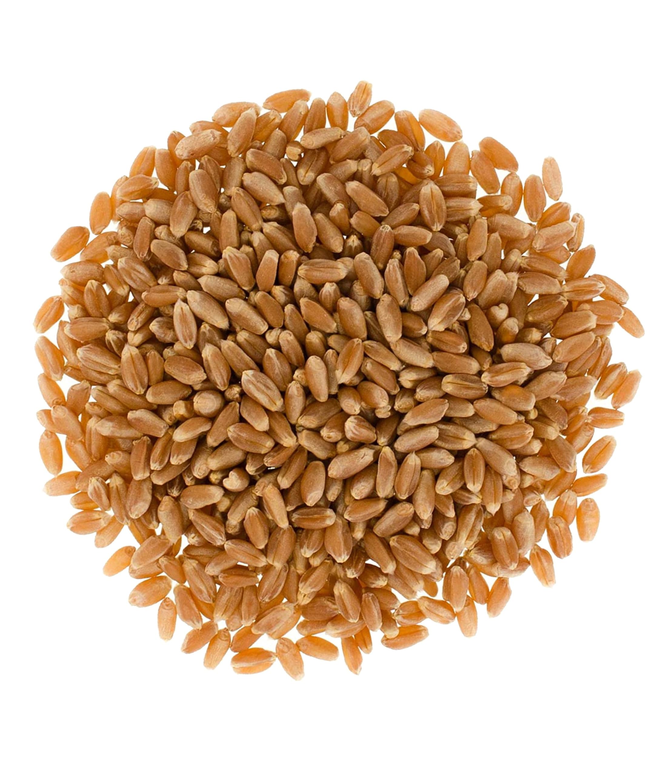 Organic Hard Red Spring Wheat Berries - 100 LBS Bulk | Non-GMO Project Verified, Kosher Certified | Sproutable Wheat for Baking, Bread Making & Home Milling | Perfect for Artisan Bread, Homemade Flour & Healthy Recipes