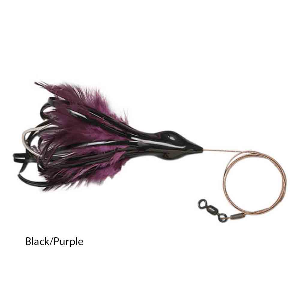 BLACK/PURPLE