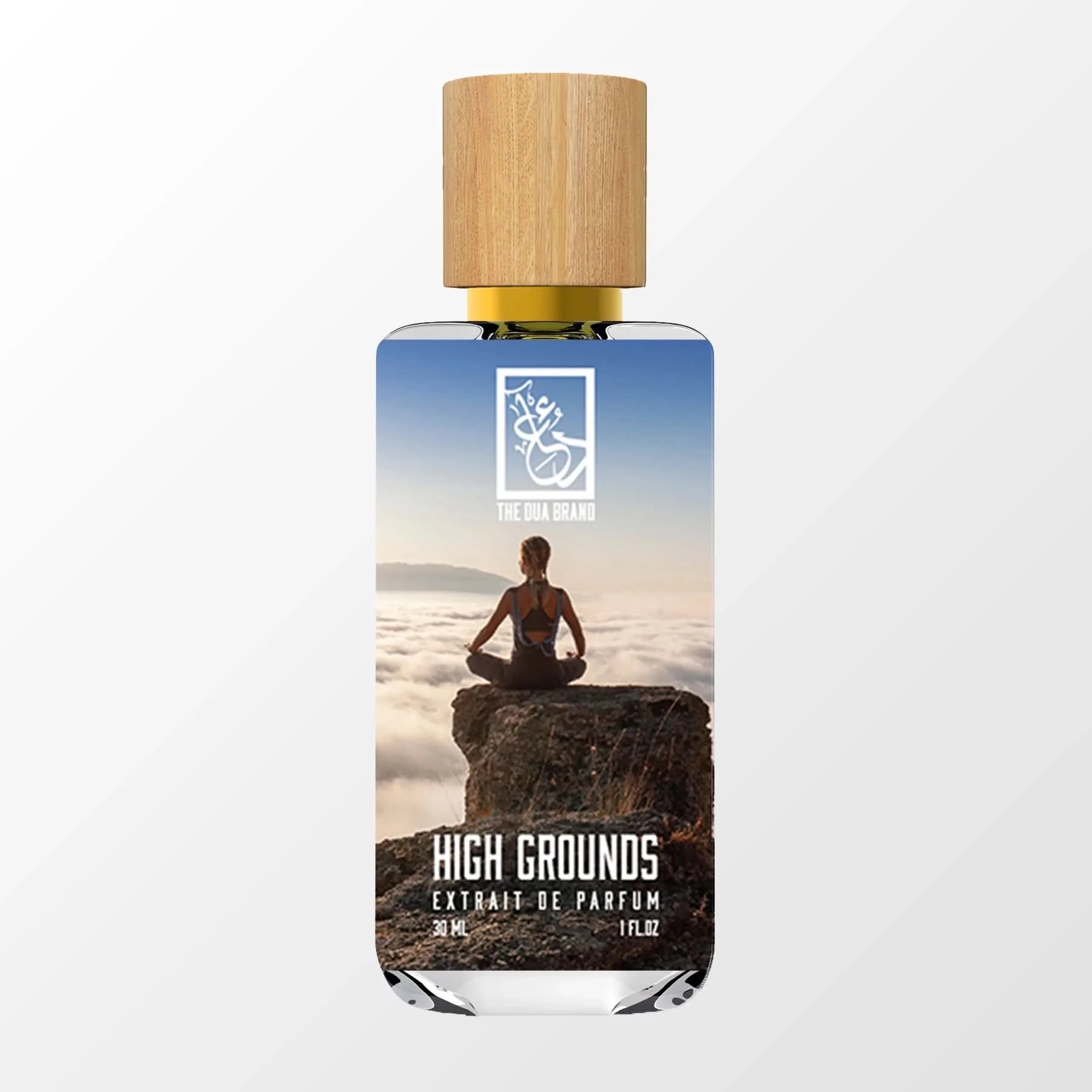 Premium Organic Coffee Beans - High Grounds Single Origin Arabica for Espresso & Drip Brew | Perfect for Home Brewing, Office & Gifting