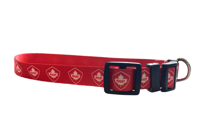 Premium Reflective Dog Collar for Small & Large Breeds - Adjustable & Durable Pet Collar for Walking, Training & Night Safety - USA Seller