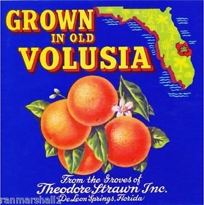 Florida Grown Citrus Fruit Crate Magnet - Volusia Orange & Leon Springs Souvenir - Perfect for Refrigerators, Lockers & Travel Memories