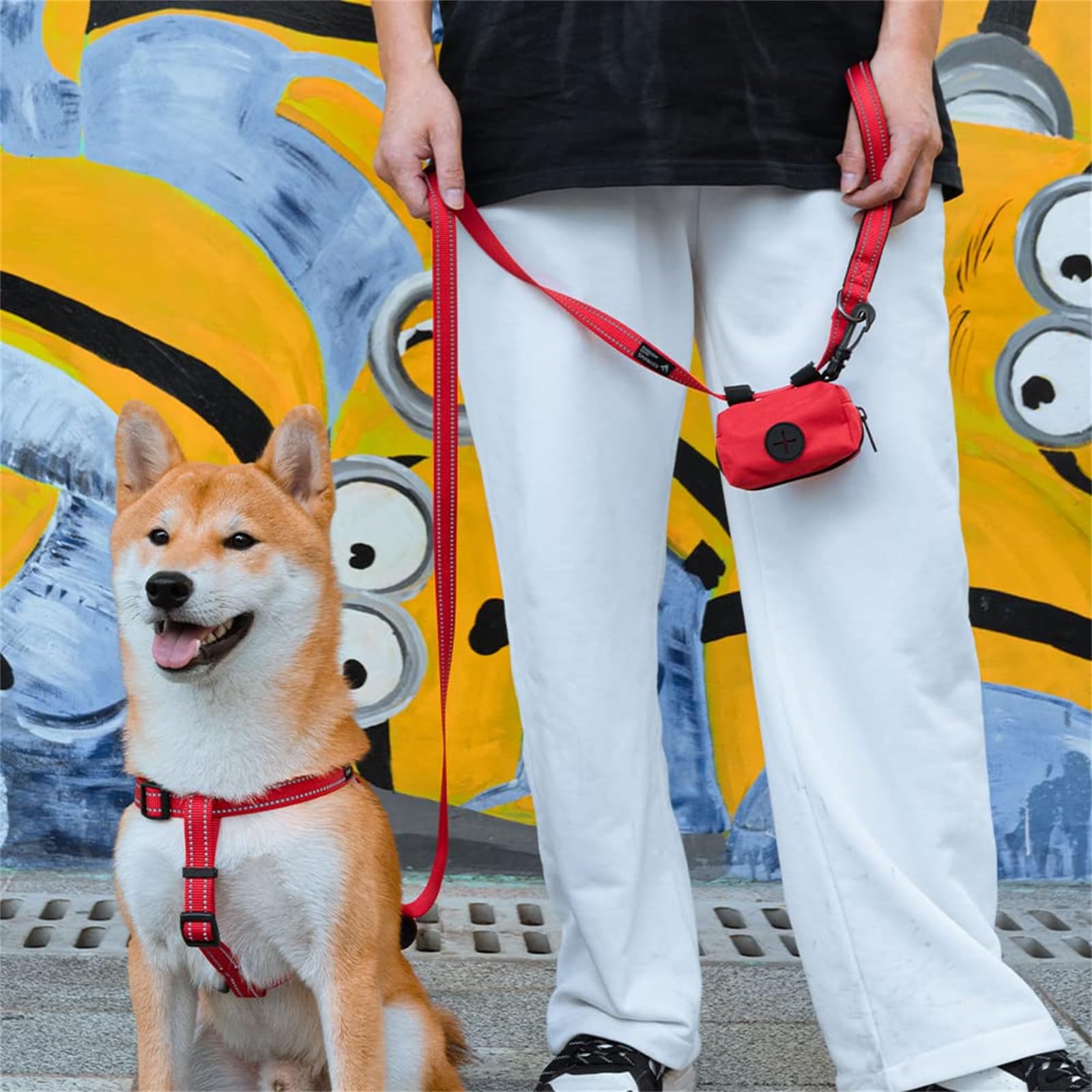 Premium Heavy-Duty Nylon Dog Training Leash - 5ft Strong & Durable Pet Lead with Poop Bag Holder - 3/4