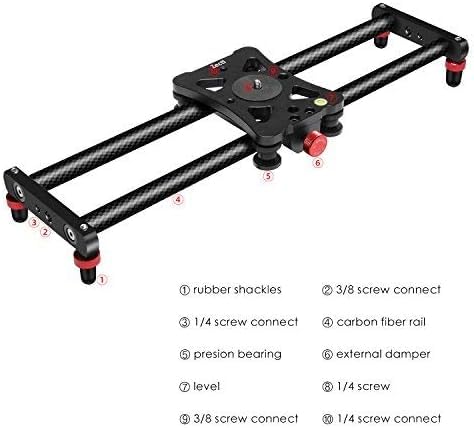 Zecti 24