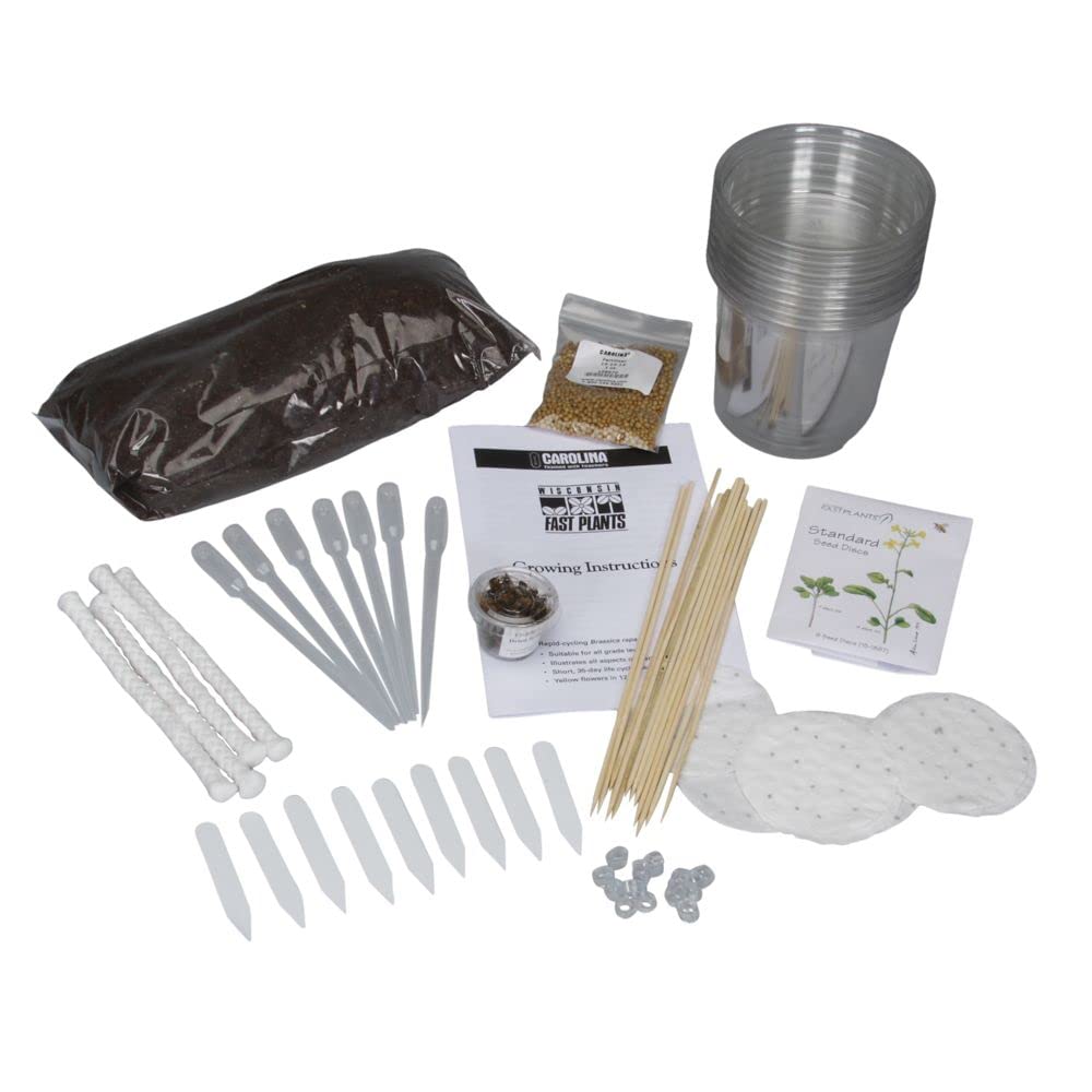 Wisconsin Fast Plants® Independent Research Kit - Materials for 4 Watering Stations | Plant Growth Experiment Supplies for Classroom & Home Science Projects | STEM Education & Botany Learning Tools