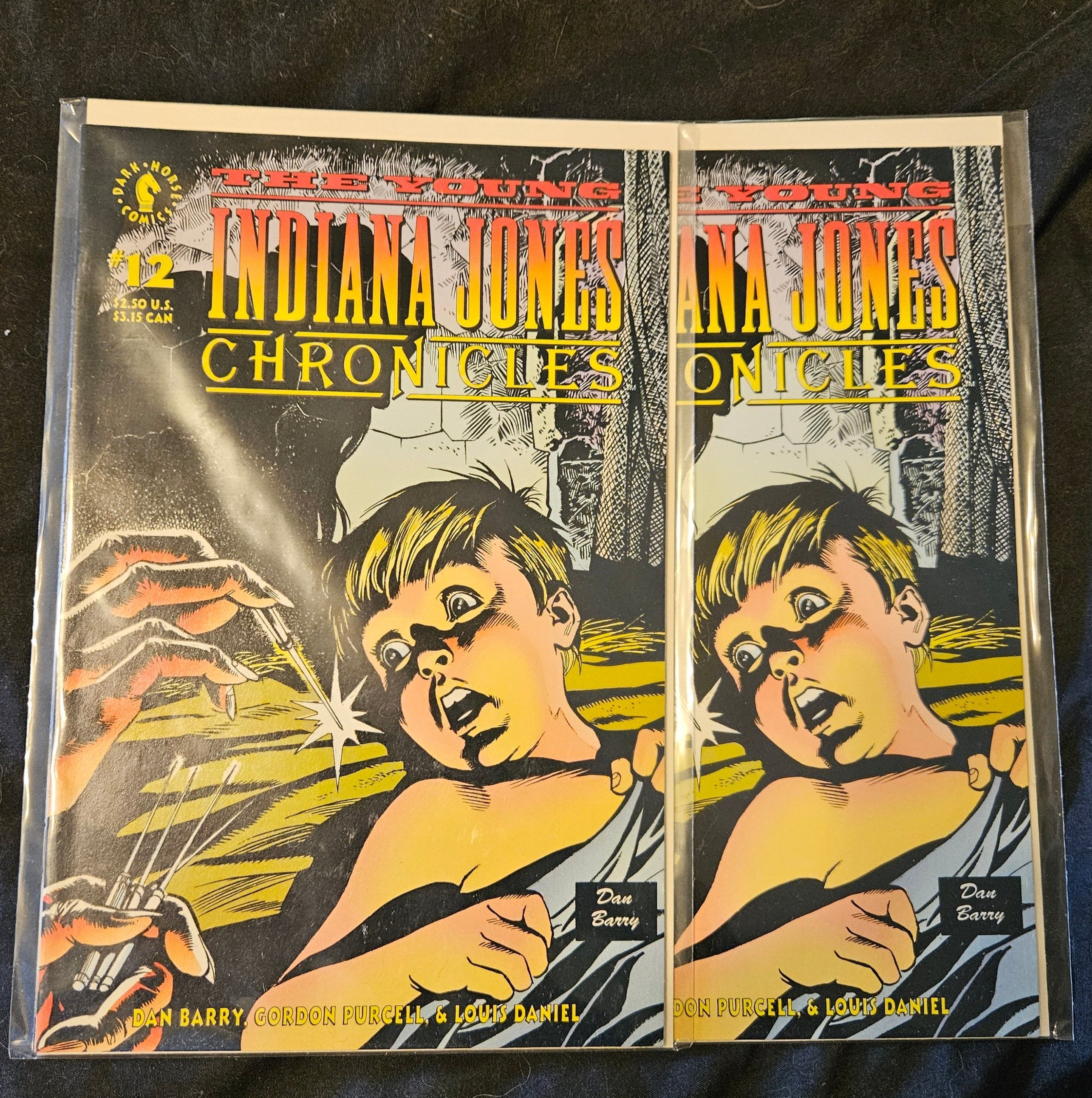 Dark Horse Comics Indiana Jones #12 - The Further Adventures of Indiana Jones | Collectible Comic Book for Fans & Collectors | Perfect for Gifts, Display & Reading