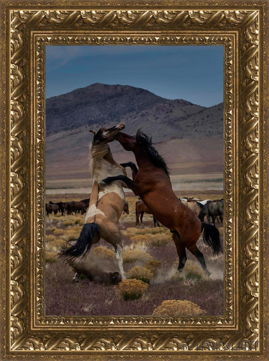 Desert Duel 1 by Greg Sargent - Western Adventure Novel for Adults | Perfect for Book Clubs, Gifts & Western Fiction Fans