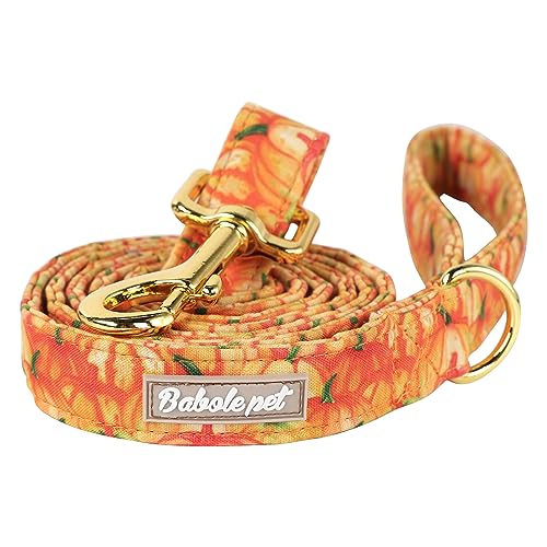 Orange Pumpkin