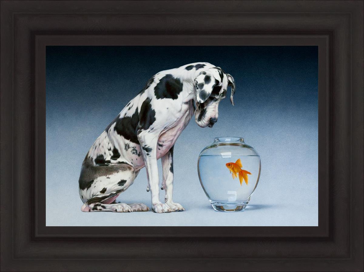 Dane And Fish By Chris Young - Premium Fishing Gear & Accessories for Outdoor Enthusiasts | Perfect for Freshwater & Saltwater Fishing Adventures