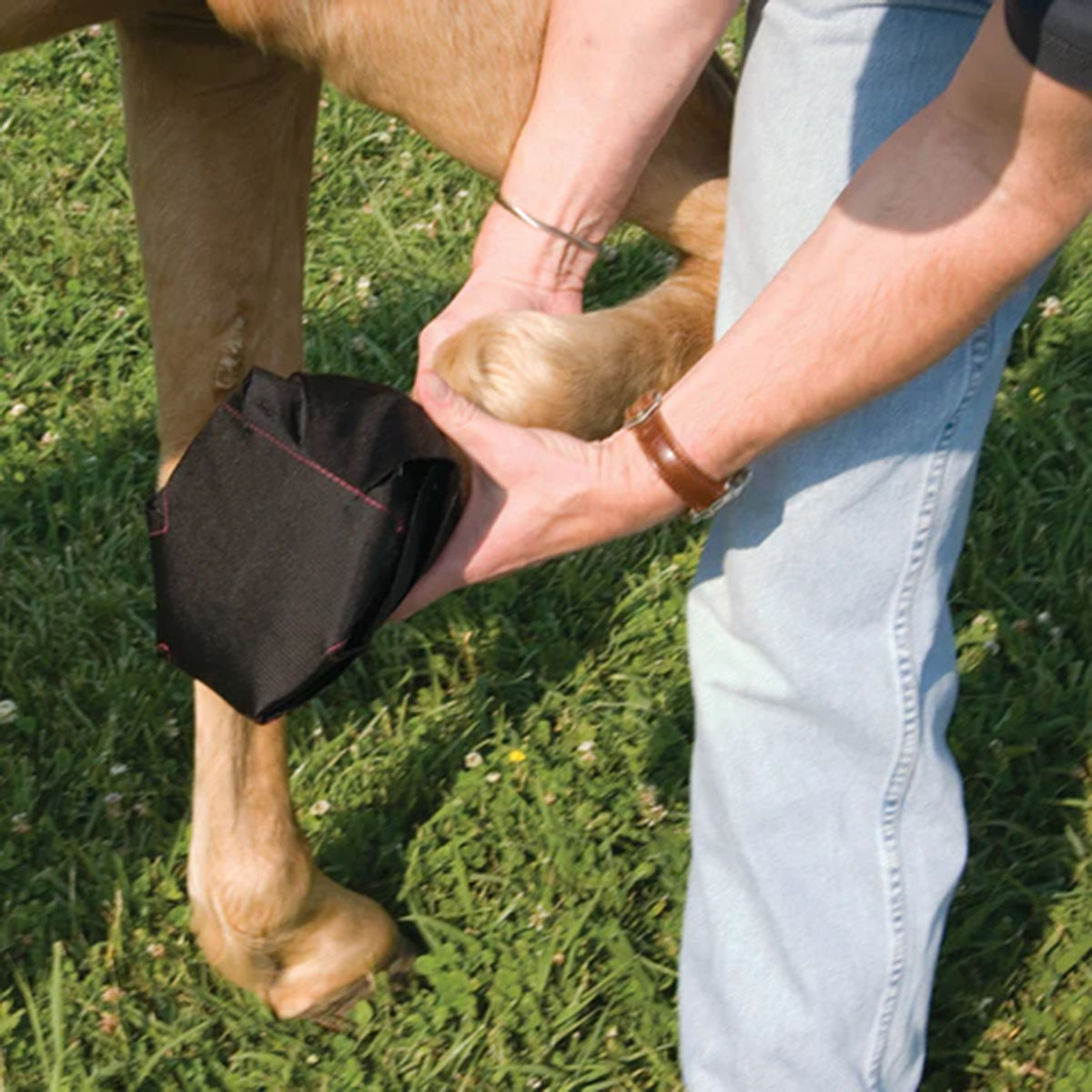 Horse Hoof Wraps Bandage - Breathable & Waterproof Hoof Protection for Horses - Ideal for Trail Riding, Training & Injury Recovery