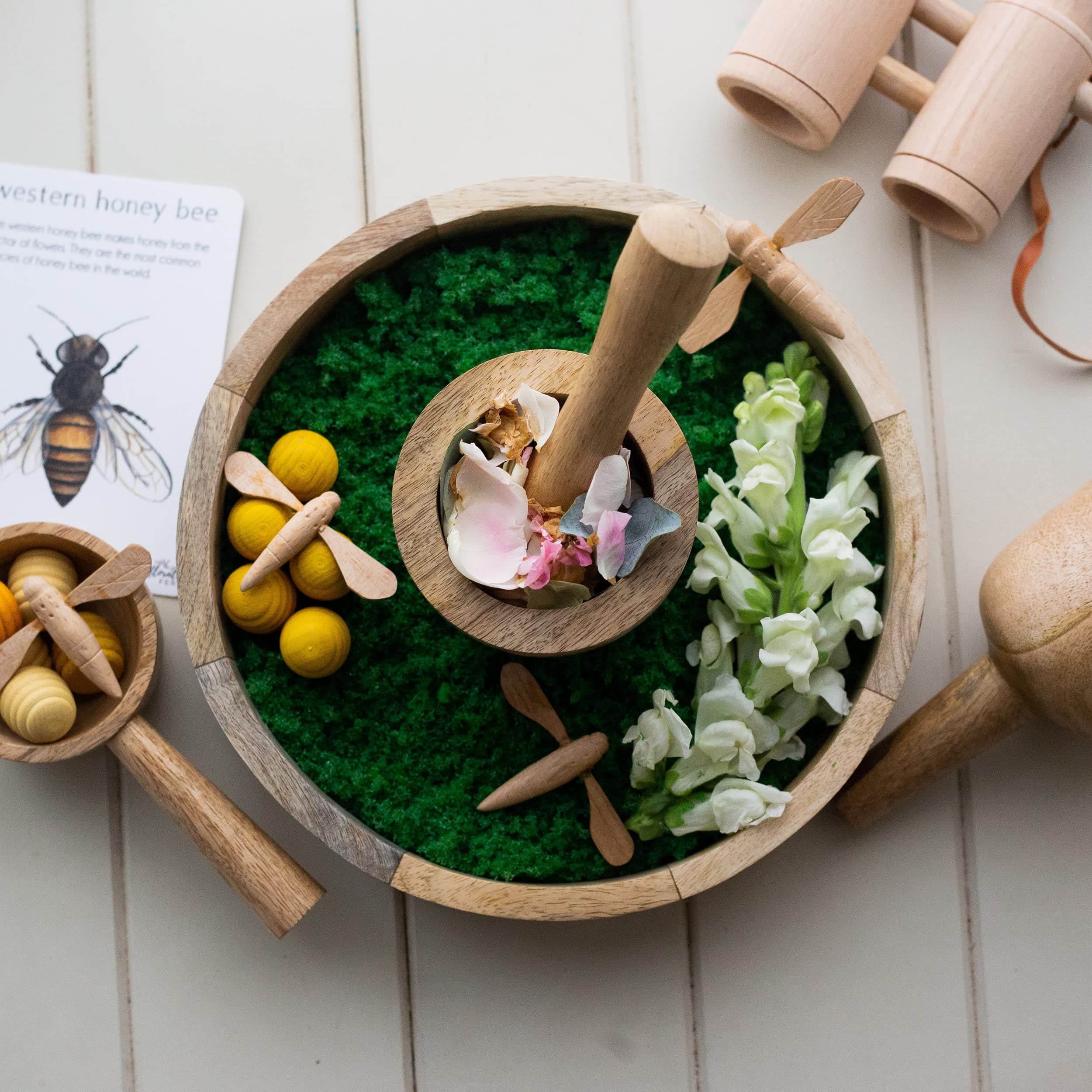 Montessori Wooden Funnel & Sensory Play Set - Natural Mango Wood Pouring, Scooping & Grinding Kit for Kids - Perfect for Loose Parts Play, Water Activities & Early Childhood Learning - Ideal for Home, Classroom & Daycare Sensory Bins