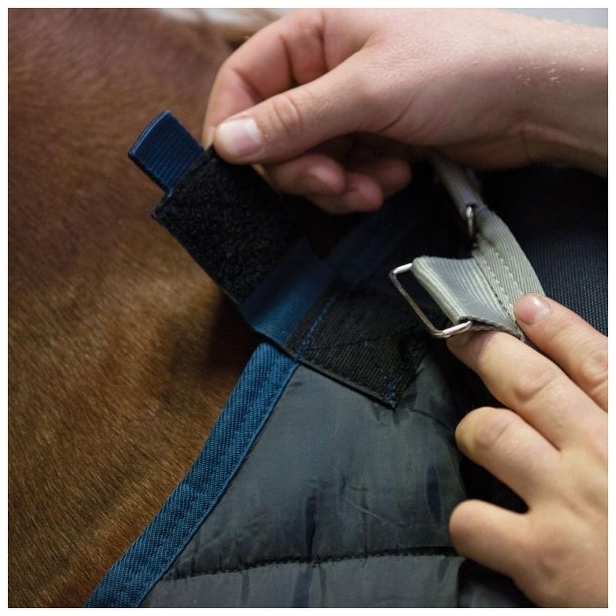 Horseware 300g Blanket Liner - Lightweight Horse Sheet for Cool Weather Riding & Stable Use