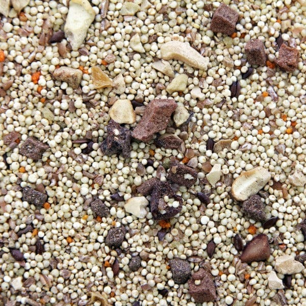 Premium Higgins Worldly Cuisines African Sunset Parrot & Bird Food - Nutritious Appetizer for Parrots, Cockatiels & Lovebirds - Perfect for Daily Feeding & Training Rewards