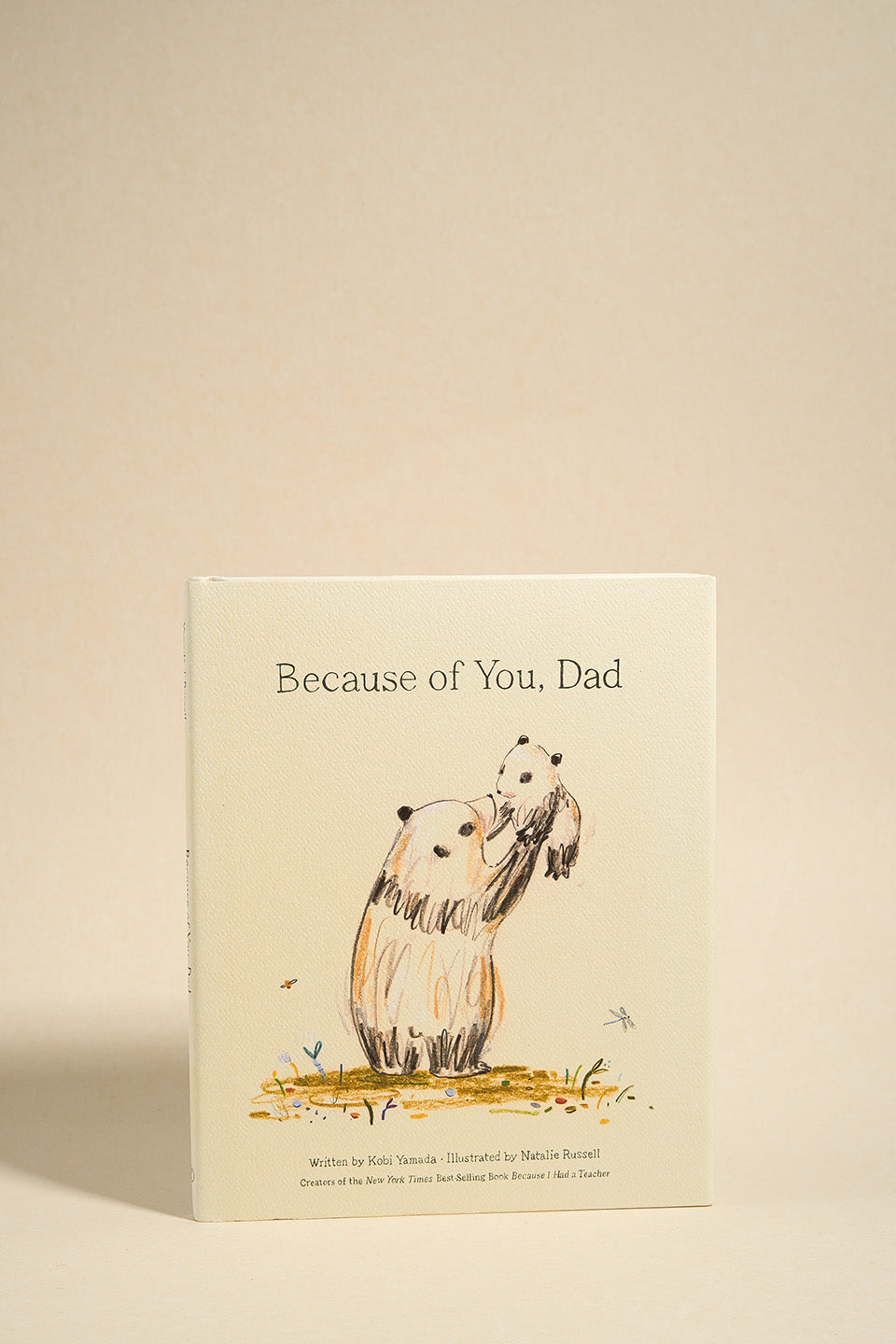 Because of You Dad - Heartfelt Father's Day Gift for Dad - Perfect for Birthday, Anniversary & Special Occasions