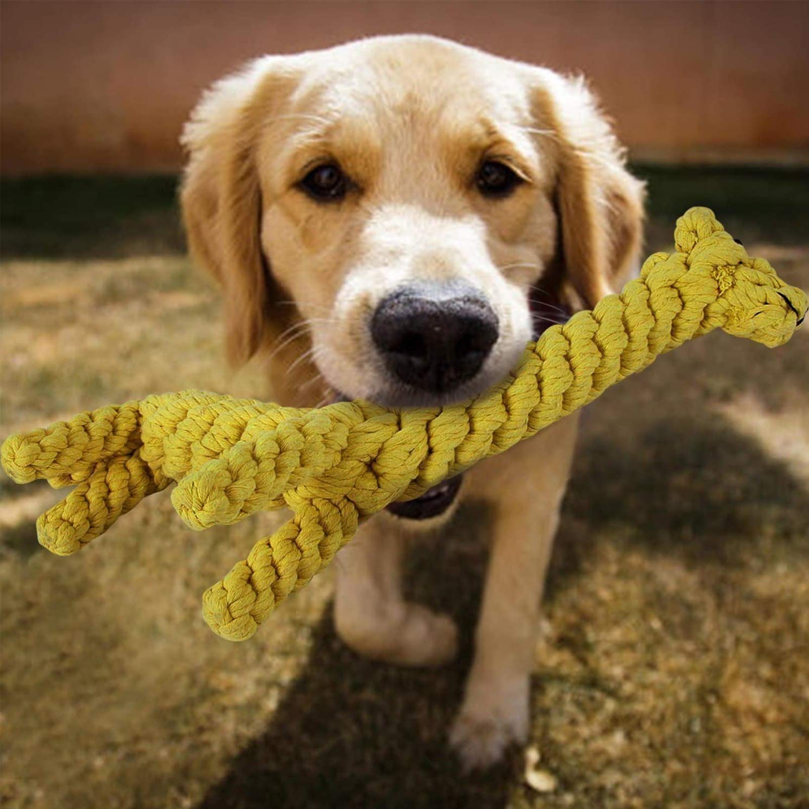 Durable Dog Chew Toys for Puppies & Adult Dogs - Rope Ball Knot Teething Toys for Small to Medium Dogs, Training Treats & Boredom Relief (Giraffe Design) - Perfect for Indoor Play, Outdoor Fetch & Dental Health