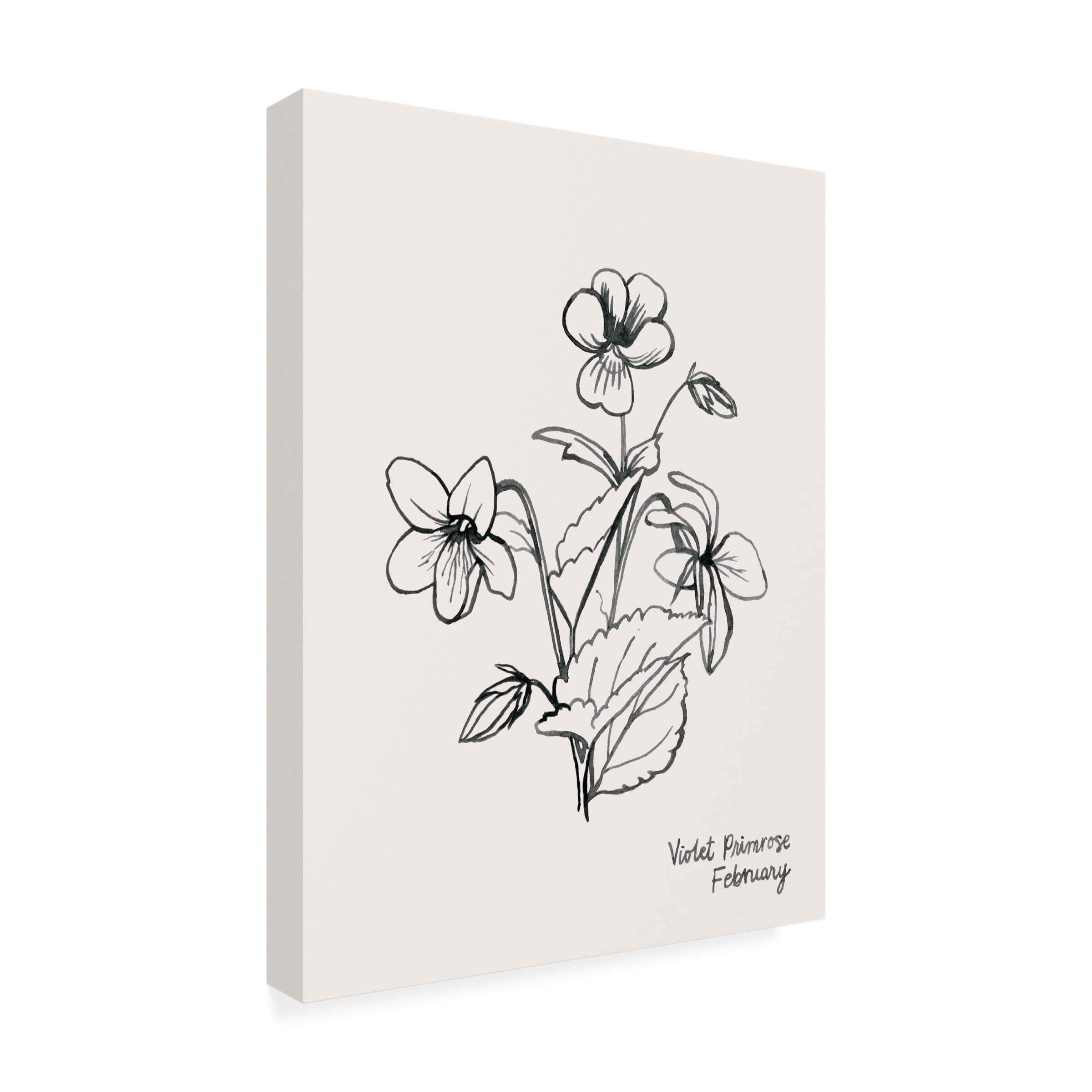 Grace Popp Annual Flowers II Canvas Wall Art Print - Vibrant Floral Home Decor for Living Room, Bedroom & Office - Trademark Fine Art Collection