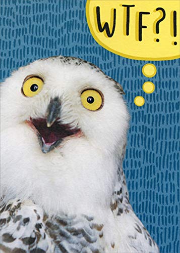 Funny WTF Shocked Owl Birthday Card - Humorous Greeting Card for Friends & Coworkers - Perfect for Birthday Parties, Office Gifts & Surprise Celebrations