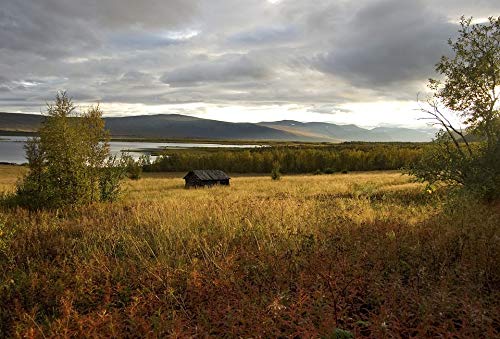 20x30 Inch Autumn Sweden Landscape Laminated Poster - Vibrant Colors & High-Quality Print - Perfect for Home Decor, Living Room, Bedroom & Office Wall Art