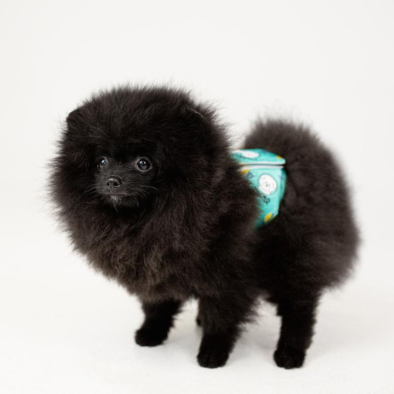 Misoko Washable Dog Diapers for Male Dogs - 3 Pack Reusable Pet Diapers for Incontinence, Training & Travel - Perfect for Holidays, Home & Outdoor Use