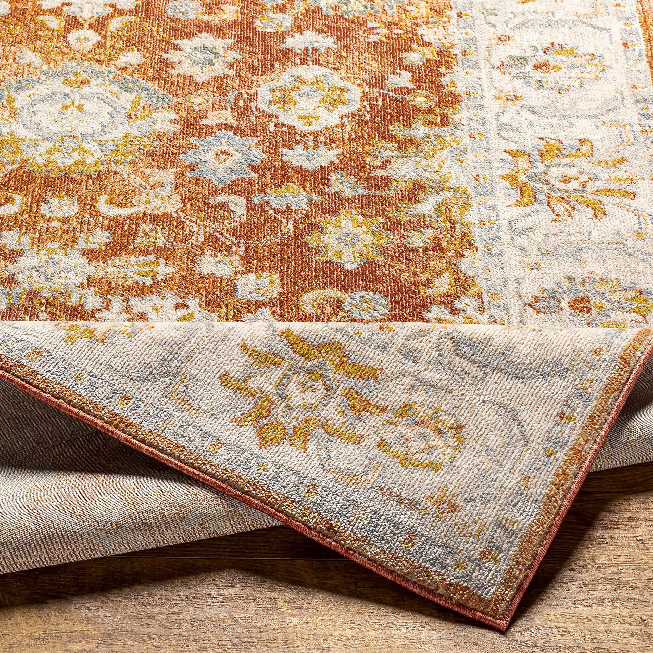 Hauteloom Dicamay Traditional Area Rug 3'11