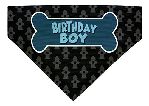 Birthday Boy