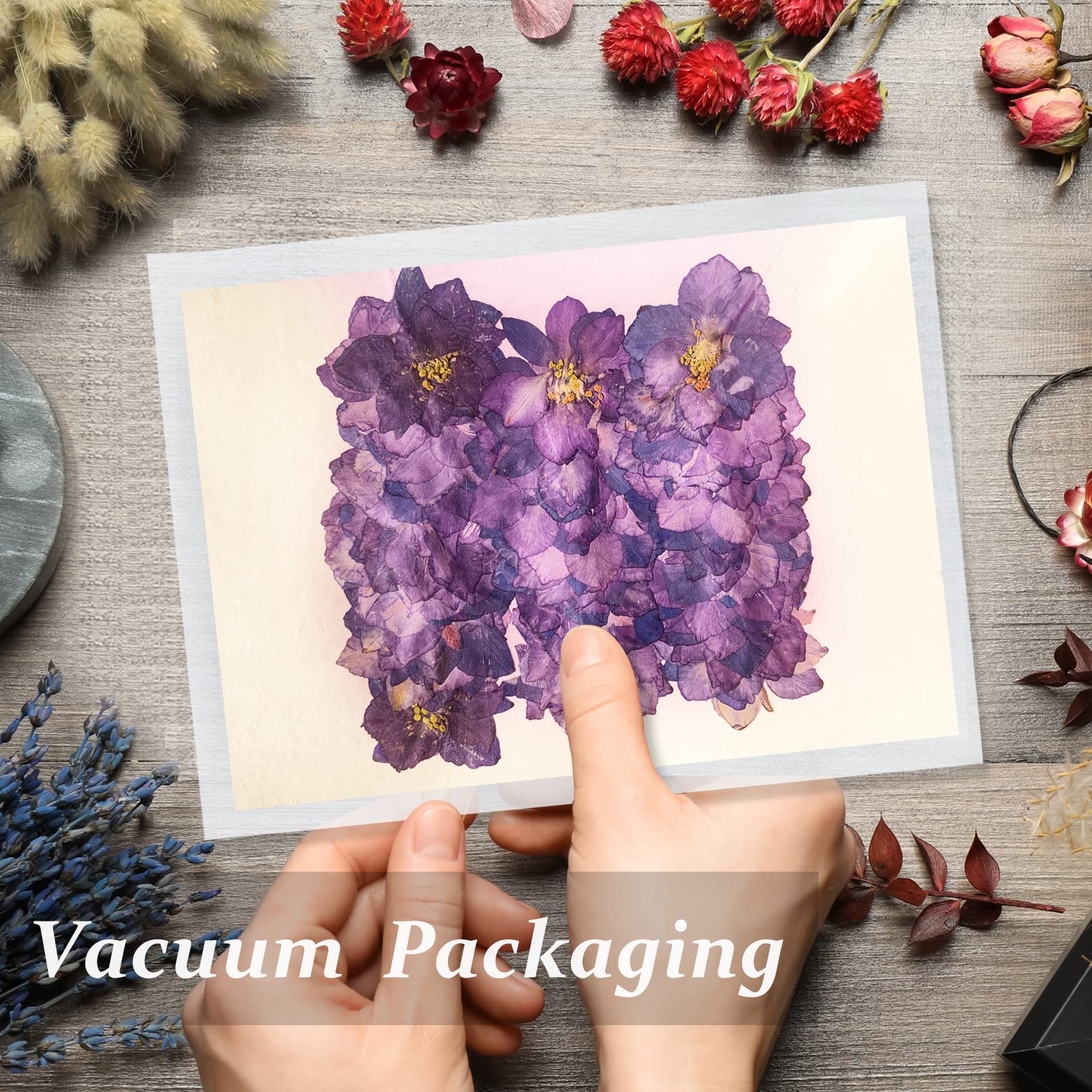 60PCS Natural Purple Pressed Dried Larkspur Flowers (Delphinium) for Resin Art, DIY Crafts, Candle Making - Perfect for Home Decor, Wedding Bouquets & Scrapbooking Projects