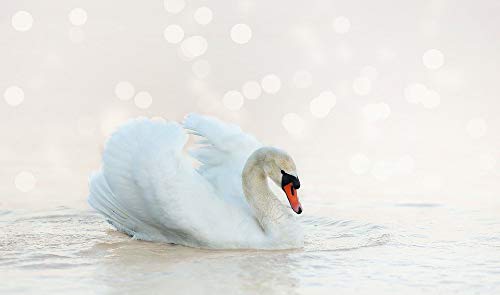 1000 Piece Jigsaw Puzzle for Adults - Beautiful Swan Landscape - Educational & Stress Relief Toy - Fun Family Game for Parties, Home Decor & Relaxation