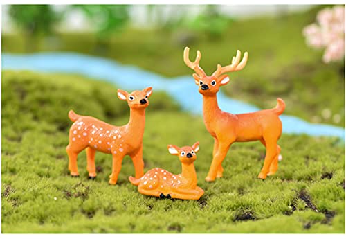 Deer