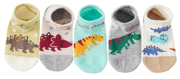 5 Pairs Dino C