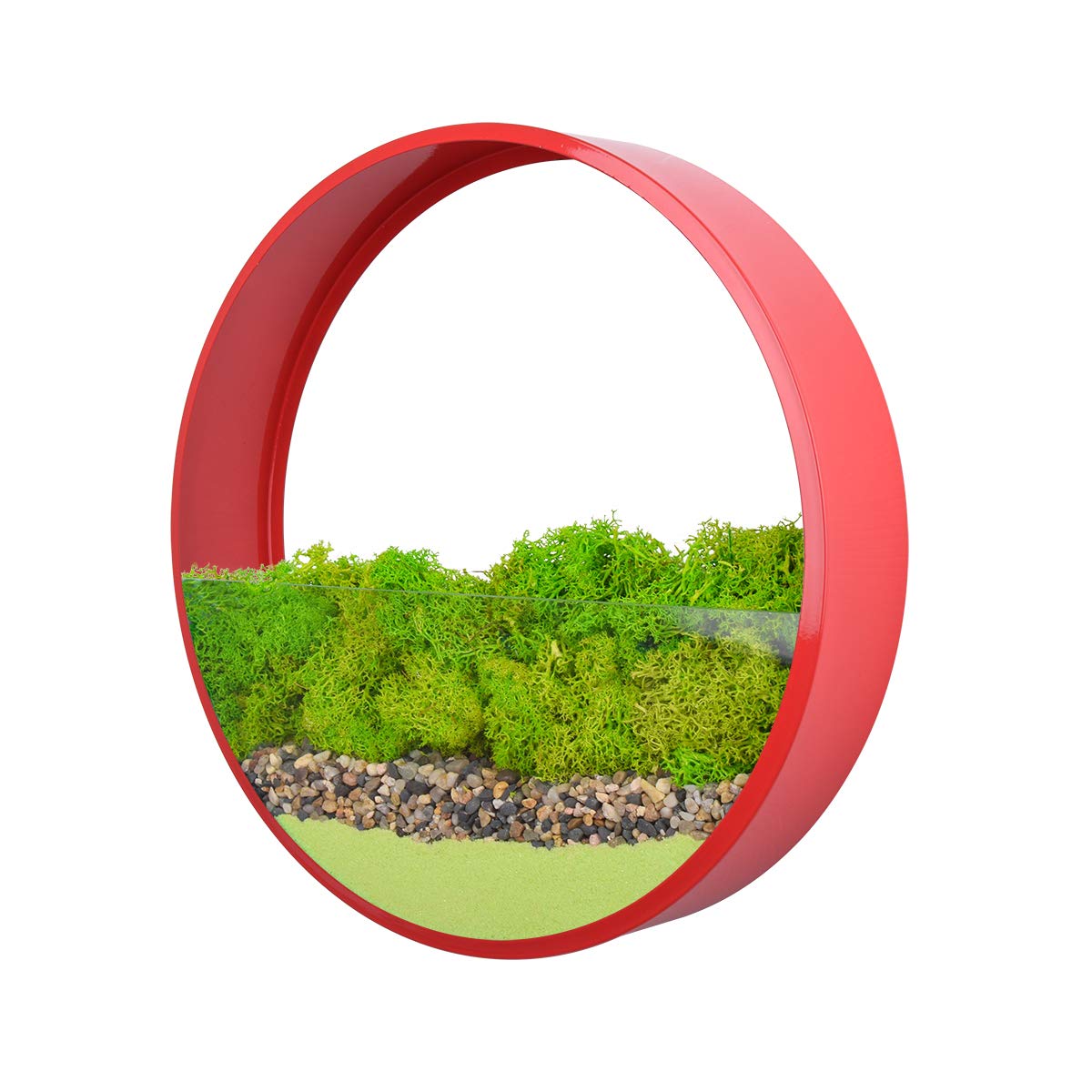 EcoSides 12