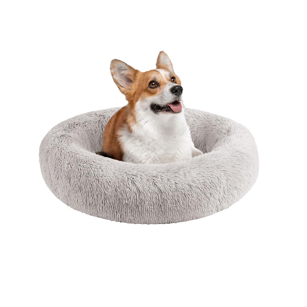 Serena Orthopedic Dog Bed - Soft Memory Foam for Indoor Pets, Grey - Perfect for Calming & Comfort