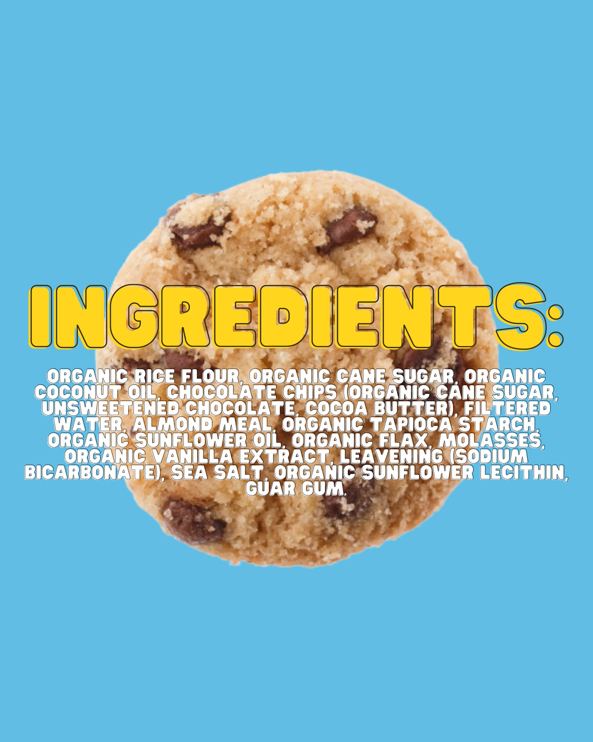 Bakeology Gluten Free Vegan Cookies - 6 Pack (5 oz Each) | Chocolate Chip & Vanilla Chai Flavors | Healthy Snacks for School, Office & Travel | Dairy-Free Plant-Based Treats