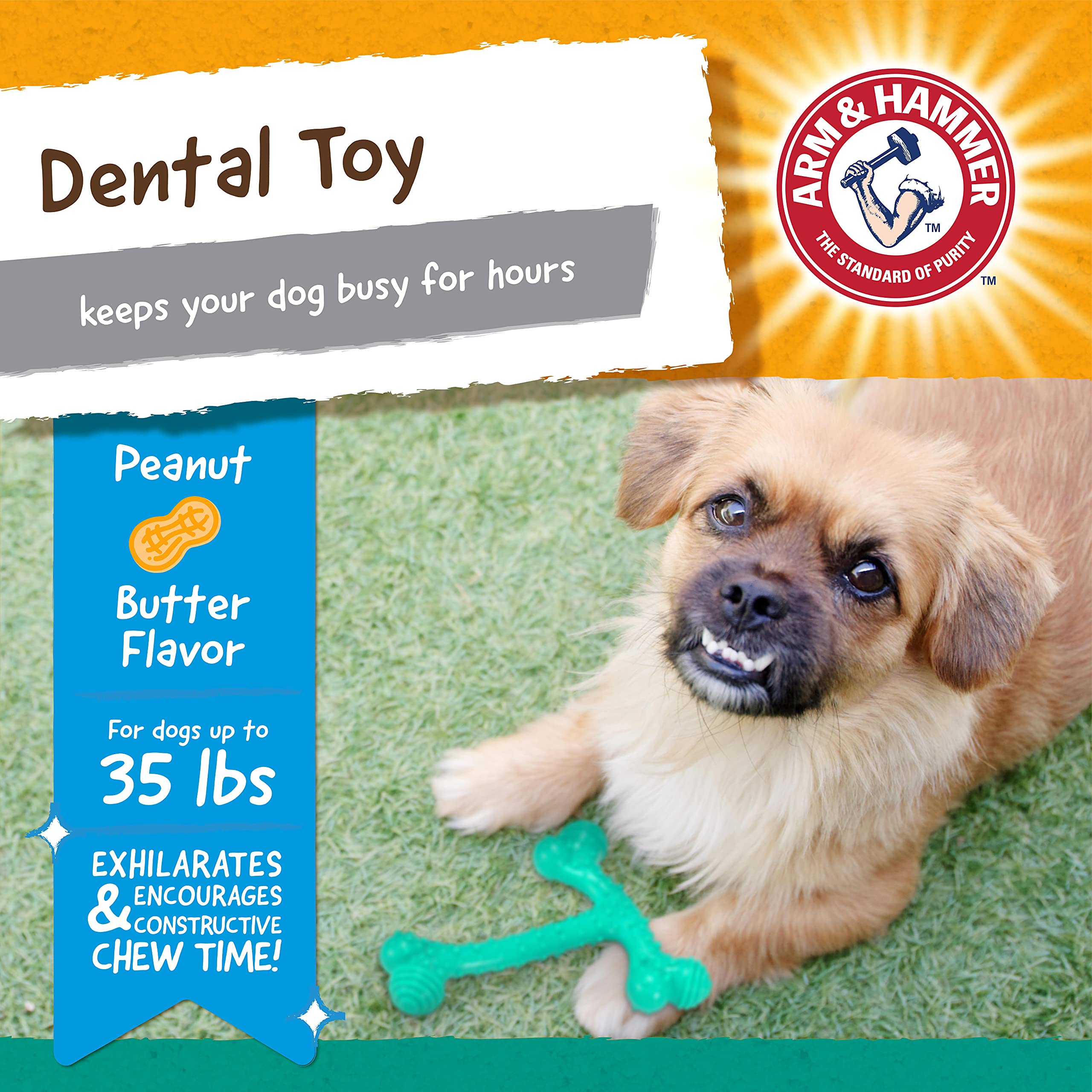 Arm & Hammer Ora-Play T-Bone Dental Chew Toy for Dogs - Peanut Butter Flavor Dog Chews (24 Pack) | Reduces Plaque & Tartar Buildup | Best for Moderate Chewers | Perfect for Playtime & Dental Care at Home